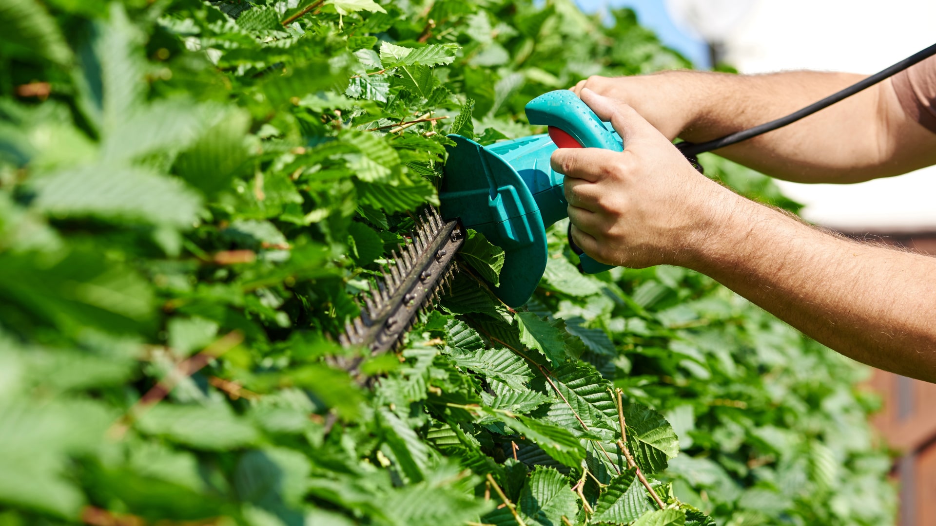 HausmeisterGaertnermwdAdobe min